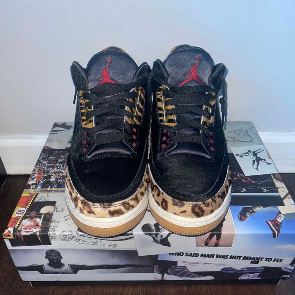 Air Jordan 3 Retro SE "Animal Instinct